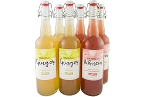KOMBUTXA BEBIDA TE KOMBUCHA ORGANICA - Confezione da 6ud di 750ml | Sapore Ibisco e Melograno 3ud e Zenzero e mela 3ud | Bevanda Energetica al Tè Fermentato Biologico | Senza Zuccheri Aggiunti