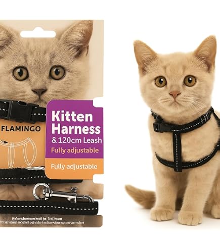 Harnais Réglable Pour Chat Et Petit Chien - Anti-fuite, Doux Et Sécurisé - Avec Laisse De 120 Cm - 7