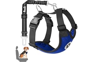 SlowTon Ensemble de Harnais et Laisse de sécurité de Voiture, Multifonction Tissu Réglable Respirant Gilet Ordinaire Harnais avec Ceinture De Sécurité en Voiture Route Voyage Promenade
