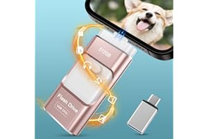 Chiavetta USB 512GB per Phone,Ryican USB 3.0 Pendrive 4 in1 Photostick Pennetta USB C Chiave USB Type C con iOS,Android,Micro USB,Tipo C Porta/Smartphone, Android, Computer, Laptop, PC(512GB,Rosa)