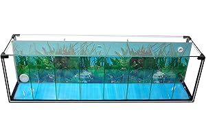 AQUARIUM PLÜDERHAUSEN Aquarium Zucht-Becken Betta 38 L, Garnelen-Aquarium, Aufzucht-Aquarium, Kampffisch-Aquarium