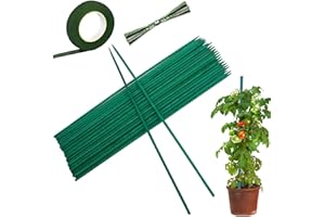 BECHOICEN Plant Support Sticks Plant Stakes Garden Stakes Plant Sticks with with 30pcs Garden Twist Ties, 30 Yard Flower Paper Tape for Vegetables Flowers Fruit(30cm/11.81inch)