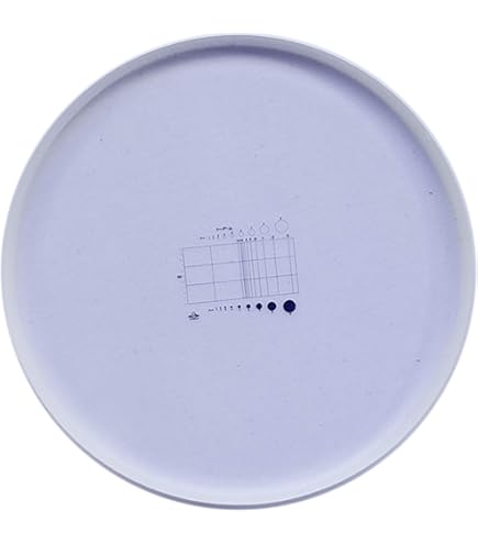 Reticolo Oculare Per Microscopio - Micrometro Vetro 0.1mm Con Scala 5mm - Foto 4