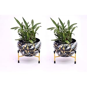 Amazon Brand - Solimo Tripod Stand | Set of 2 | Flower Design | Iron | Black
