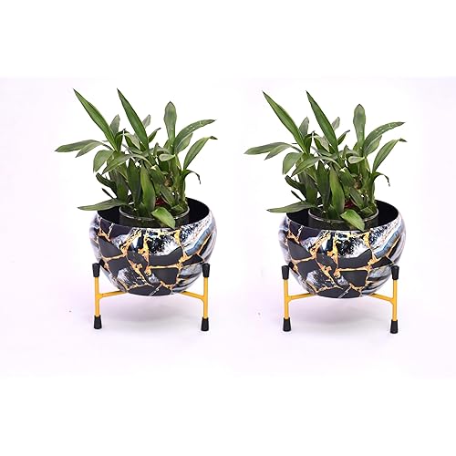 Amazon Brand - Solimo Tripod Stand | Set of 2 | Flower Design | Iron | Black