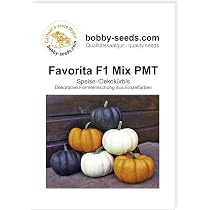Bobby-Seeds Kürbissamen 'Gladiator PMT F1' – Mehltauresistent, Portion (10 Korn)