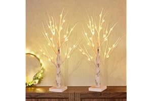 SONGLYPIAN Set of 2 LED Tree Lights, Warm White, 60 cm / 2 ft Birch LED Light Tree Indoor with 24 LEDs Light, USB/Battery Operated Light Tree, Adjustable Branches, Indoor Birch Tree for Christmas, Easter, Party,