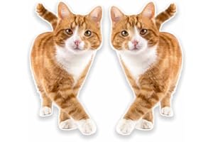 DESTINATIONVINYL 2 x 20cm/200mm Ginger Cat Vinyl Sticker Decal Laptop Car Travel Luggage Label Tag #9640