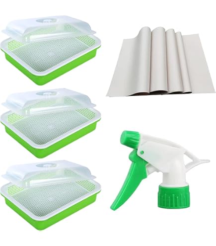 Lot De 5 Bacs à Germination - Pour Haricots Mungo, Alfalfa, Graines - 32,5 X 23,5 X 5 Cm