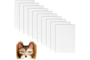 FRESILKORA 10 Sheets White Eye Mesh for Therian Mask- 21 x 30CM Fursuit Eyes Mesh, Plastic Mesh Canvas Sheets for DIY Cat Mask, Cosplay Props, Fursuits, Craft Making, Printable Waterproof PVC Plastic Mesh Sheet