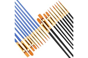 DEEINN Art Paint Brush Set, Different Sizes for Artists, Adults, Paint Brushes, Face Paint Brushes Watercolor, Acrylic and Oil Painting Suitable, Figurines, Nail Art, 20 Count, Blue&Black