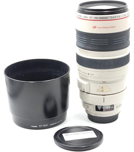 Canon EF 24mm f/1.4L II USM Objectif Grand-Angle Noir