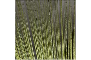 Cozylkx Türvorhang Mit Fadenperlen, 100 cm x 200 cm, Fliegen-Insekten-Insektenschutz, Fadenvorhänge Mit Quasten, Raumteiler-Vorhang Für Fenstertüren