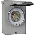 Reliance Controls Generators Up to 7,500 Running Watts PB30 30-Amp NEMA 3R Power Inlet Box, Gray