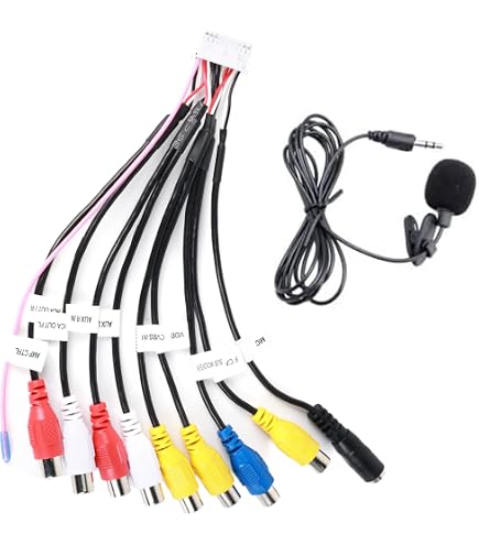 Cablaggio RCA a 20 Pin - Cavo Di Prolunga per Ingresso Uscita