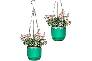 JOSTEVE 4.5 Inch 2 Pcs Self Watering Hanging Planter Indoor Plant Hanging Pots with Drainage Holes, Outdoor Small Hanging Planters Flower Pot Basket, Visible Water Level, Plant Hanger Home Decor, Gardening