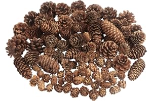 LARBER 100 Piezas Piñas Navideño Conos de Pino Naturales Piñas Decorativas Conos de Pino de Navidad para Manualidades Boda Árbol de Navidad Otoño Invierno Decoración del Hogar, Grande Mediano Mini Mixto