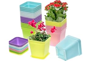 QWORK® 24 pezzi di vasi quadrati in plastica colorata con vassoi, vasi per piantine da 7 cm per piante grasse, cactus, erbe aromatiche e verdure
