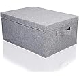 DR Mall Storage Bin Box with Lid Cover & Handle Room Organizer for Clothes, Living Room Bedroom Nursery Closet Office & Other Supplies Large (Pack of 1, Grey, Rectangular, Polyester, Linen, Fabric)