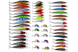 CHSEEO Leurres de Pêche Kit 48 PCS Appât de Pêche Boîte d'accessoires de Pêche Poissons-nateurs Spinnerbaits Crankbait Crochets de Pêche pour l'eau de Mer et l'eau Douce