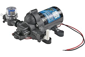 CARBEST Pompe à eau 12 V 10 l/minute 2,8 bar avec pré-filtre et membrane à 3 compartiments