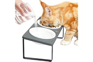 GUUSII HOME Stacja do karmienia kotów Podwyższona miska dla kota Ergonomiczna miska dla kota Podwyższona miska ceramiczna Miska dla kota Podwyższona miska dla kota Drewno (Szary)