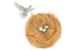 Butyeak Nestmaterial für Kleine Haustiere, 100g Kokosfasern Für Vögel Dekoration Und Nestbau, Kokosfaser Nistmaterial, Kokosfaser Kanarienvögel, für den Nestbau und Versteck