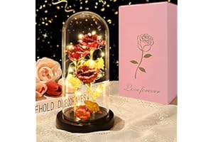 DOUUCO Ewige Rose im Glas, Die Schöne und Das Biest LED Licht Rosen im Glaskuppel Glitzer Rosen Geburtstags Geschenk für Frauen, Mama, Freundin, Muttertagsgeschenk Weihnachten