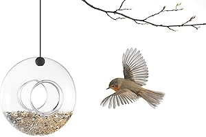 Eva Solo 571045 Mangiatoie per uccelli, Stazione di alimentazione, Volume 5 litri, Con palo di supporto, Trasparente/Nero