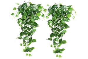XONOR 2 Stück Künstliche Grüne Hängende Scindapsus Blätter, Gefälschte Ivy Hängende Girlanden für Hochzeit Hausgarten Wanddekoration (2 Stück)