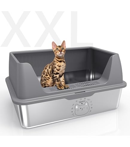 Kattenbak zonder kap, Kattenbak en kattenverzorging, Katten: online