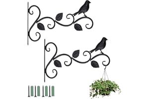 Coolty 2 Pezzi Staffa per Piante da Parete, Ganci da Parete per Pianta Staffe a Muro da Giardino In Ferro Battuto per Appendere Cestini Piante Lanterne