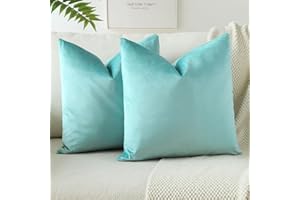 JOTOM Lot de 2 Housses de Coussins en Velours Décoratif Canapé Taie d'oreiller Doux Decoration pour Maison Salon Chambre Canapé Décoration 40x40cm (Vert d'eau)