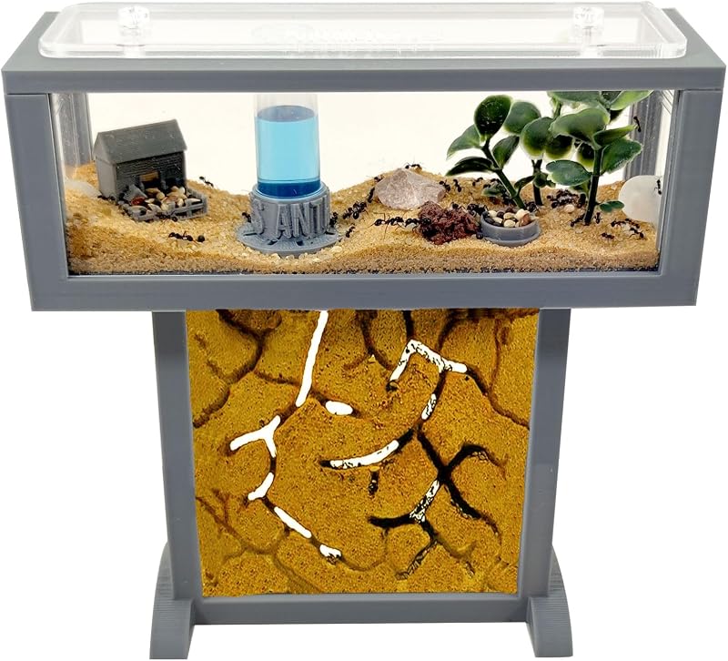 Ameisenfarm-Set T – Mini-Natursand 15x5x16 – Gratis Ameisen inklusive ┃ 20–30 Ameisen