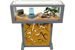 ANTHILLSHOP Hormiguero Kit- T- Mini de Arena Natural 15x5x16 - Hormigas Gratis Incluidas┃de 20-30 Hormigas