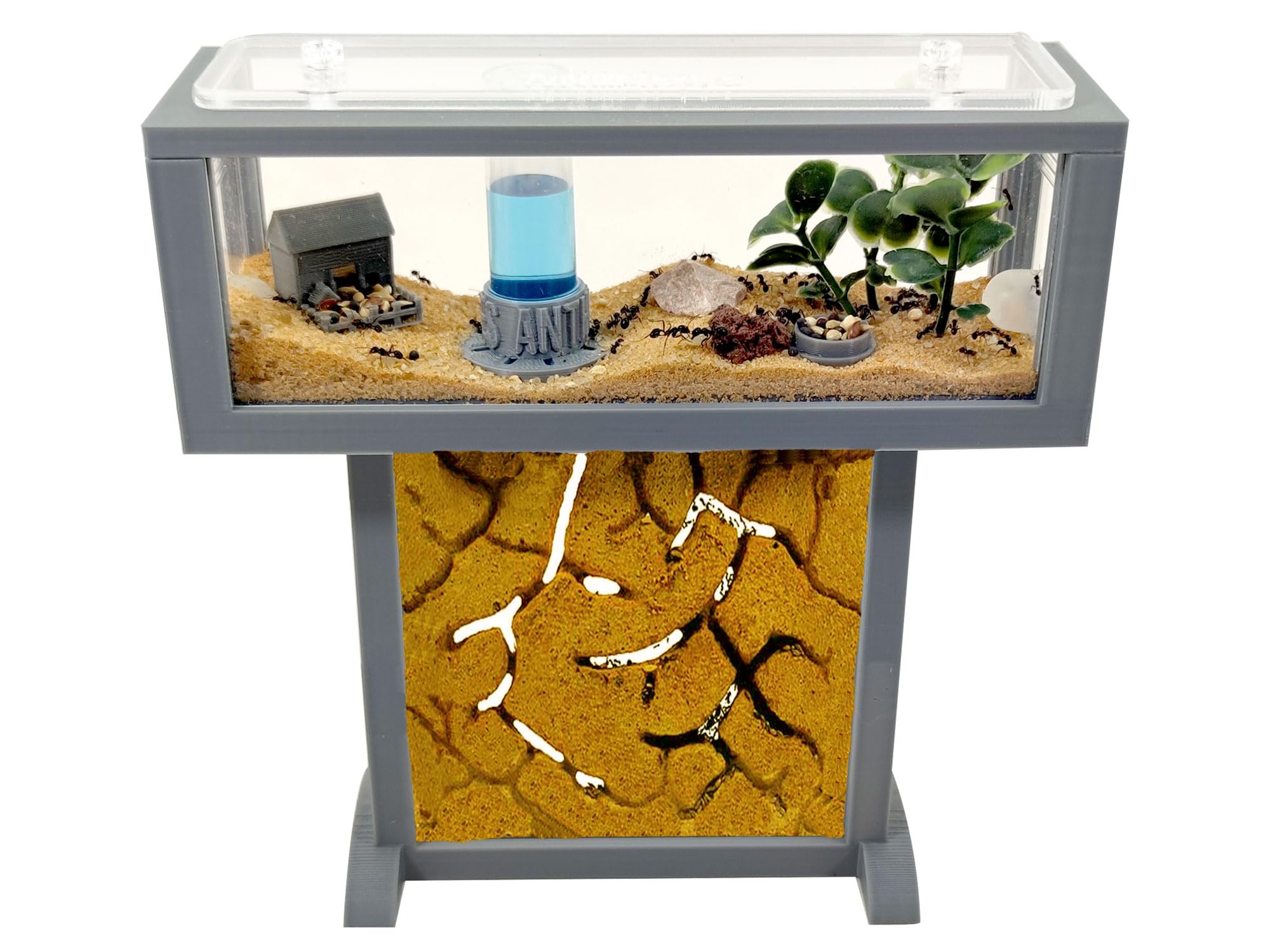 Ameisenfarm-Set T – Mini-Natursand 15x5x16 – Gratis Ameisen inklusive ┃ 20–30 Ameisen - 1