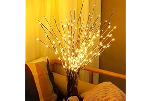 DK177 - Luce a LED per ramo illuminata a batteria, per vaso di salice, albero di salice, piccolo ramoscello artificiale, 30 cm, 20 LED, per decorazione romantica, confezione da 2, colore: Bianco caldo