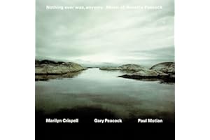 Nothing Ever Was Anyway