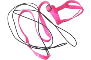 Hypeety Adjustable Feather Tether Bird Harness and Leash for Parrot African Grey Cockatoo Macaw Training Outdoor Walk Rope (M (pink))