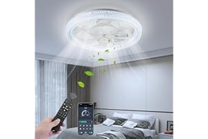LITGLOBE Ventilateur Plafond avec Lumiere,48CM Ventilateur Plafond Silencieux,Ventilateurs de Plafon𝐝 avec télécommande et APP, Dimmable Ventilateurs de Plafon𝐝 ave𝗰 6 Vitesses,Réversible,3 Couleurs