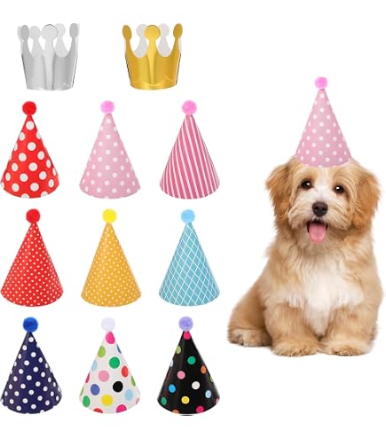 10 Pcs Chapeau De Fête D'anniversaire Pour Enfants Bébé Chapeaux Des 10 Pcs Chapeau De Fête D'anniversaire Pour Enfants Bébé Chapeaux Des