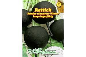 Rettich, Runder schwarzer Winter, Winterrettich spät N.L.Chrestensen Samen