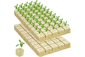 REACHMALL Cubi di lana di roccia, cubetti di lana di roccia, plug per coltivazione , substrato di coltivazione senza suolo per la crescita delle piante (40 x 40 x 40 mm)