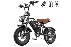 VARUN Electric Bike, 16" x 4.0 Fat Tire Ebike with 48V 624Wh Battery, Max 100KM Range, LCD Display with 5 PAS, Full Suspension & Indicators, All-terrain E-Bike for Adults and Teens