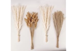 ANPROOR Decoración de Hierba de Pampas Seca, 100 PCS de Hierba de Pampas Contiene Flores Secas de Cola de Conejo, Ramo de Hierba de Carrizo para Decoración de Mesa de Boda, Flores Boho para el Hogar