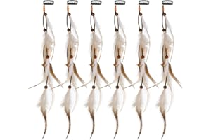 MWOOT 6Pcs Feather Hair Clips, Bohemian Hippie Hair Extension Accessories, Halloween Native Tribal Princess Costume Headdress Decoration