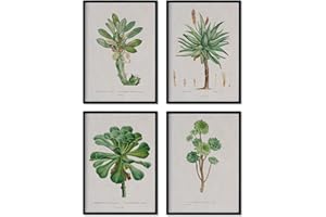 Nacnic PACK of succulent sheets. Posters with watercolor illustrations from French artist Pierre-Joseph Redouté. Interior decoration. A4 size with frame.