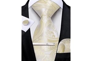 DiBanGu Men's Silk Woven Necktie Paisley Floral Tie Set with Pocket Square Cufflinks Tie Clip for Wedding Business
