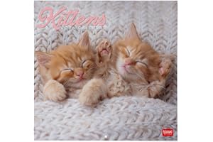 Legami - Calendario da Parete 2026, Kittens, Calendario da Muro Grande, 12 Mesi e Planner Annuale, in 6 Lingue, Spazio per Note, Segni Zodiacali, Festività Internazionali, 30 x 29 cm