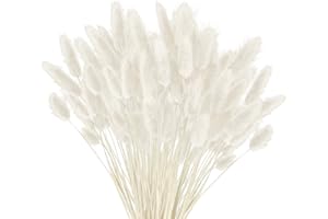 YJSDDNTY 120 pcs Erba della Pmapas, Fiori Essiccati Pampas Erba Piante Fluffy Fiori Essiccati, Boho Decorazione Casa Fiori Arrangements (Bianco)